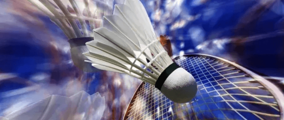 Badminton Top12 Poule 1 J1 — Flume Ille Badminton vs Le Volant Airois