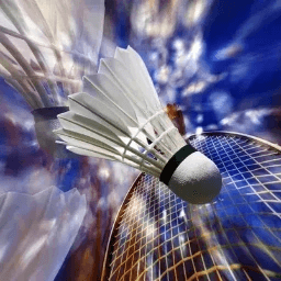 Badminton Top12 Poule 2 J2 — Union Saint-Bruno vs Red Star Mulhouse